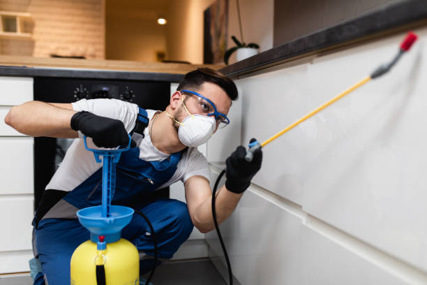 Best Affordable Pest Control Services  in Millersburg, OH