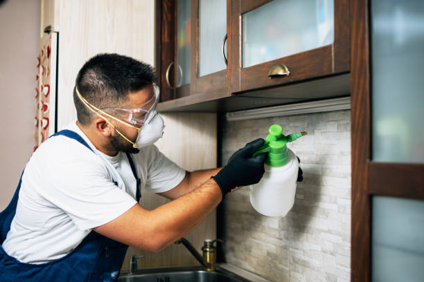 Best Affordable Pest Control Services  in Millersburg, OH