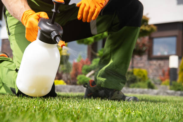 Best Ant Control Services  in Millersburg, OH