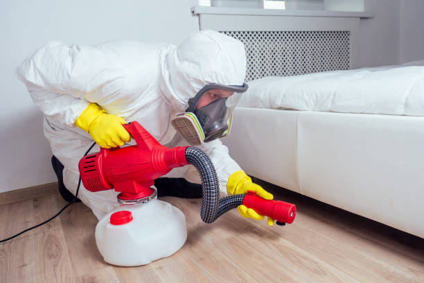 Reliable Millersburg, OH Pest Control Solutions
