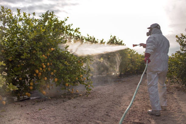 Best Mosquito Control Services  in Millersburg, OH