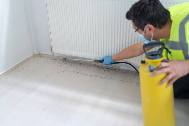 Best Emergency Pest Control  in Millersburg, OH
